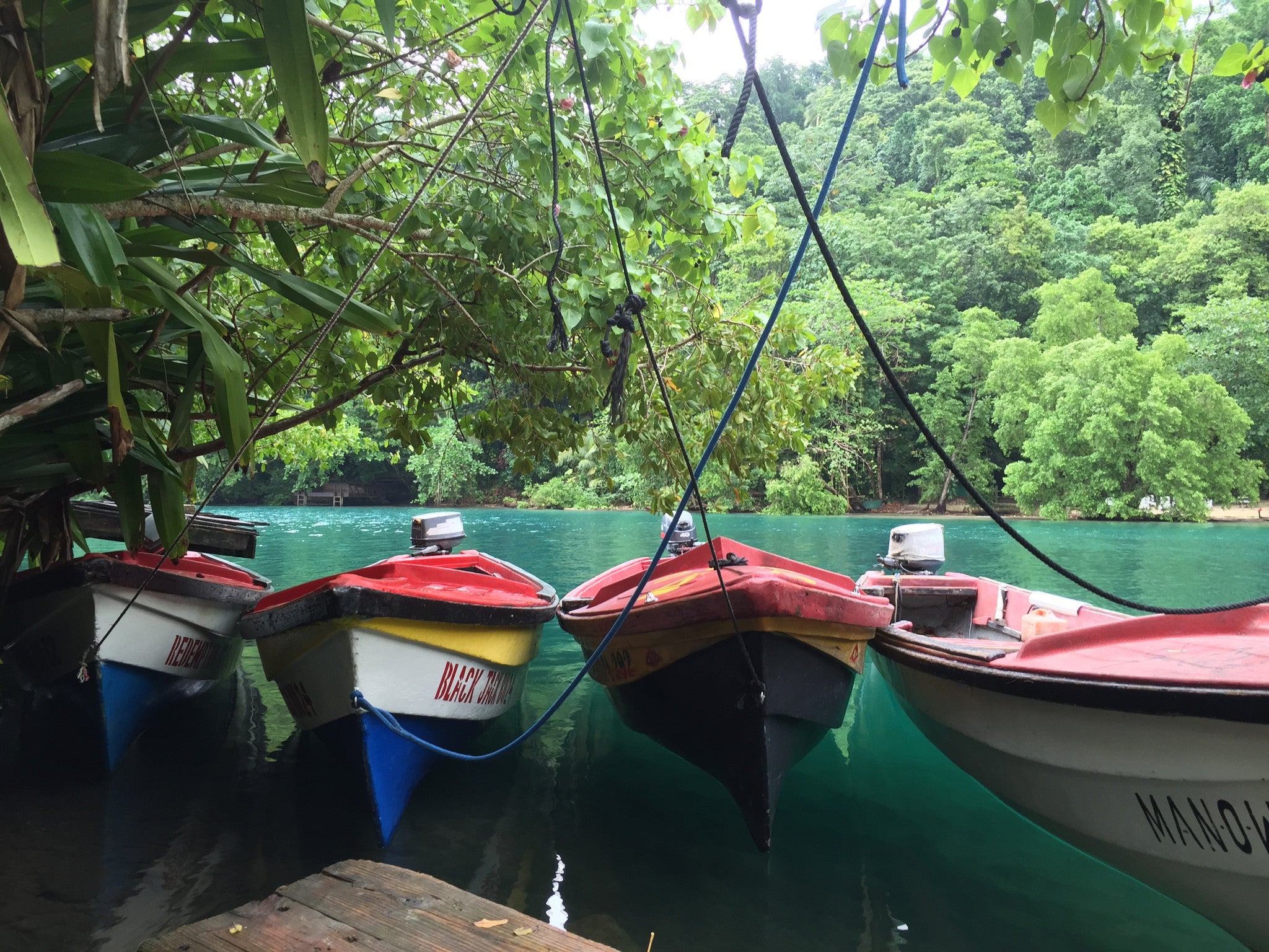 Jamaica Adventure